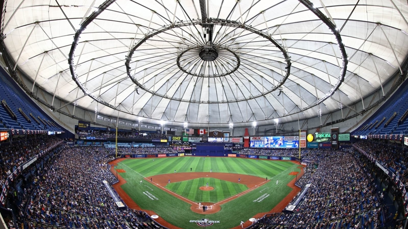 After Hurricane Milton, Rays to evaluate tattered Tropicana Field roof