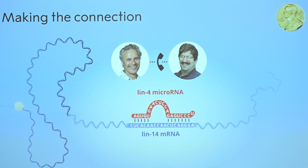 And the 2024 Nobel prize for medicine goes to… Americans Victor Ambros and Gary Ruvkun for microRNA discovery; that started with a 1mm roundworm