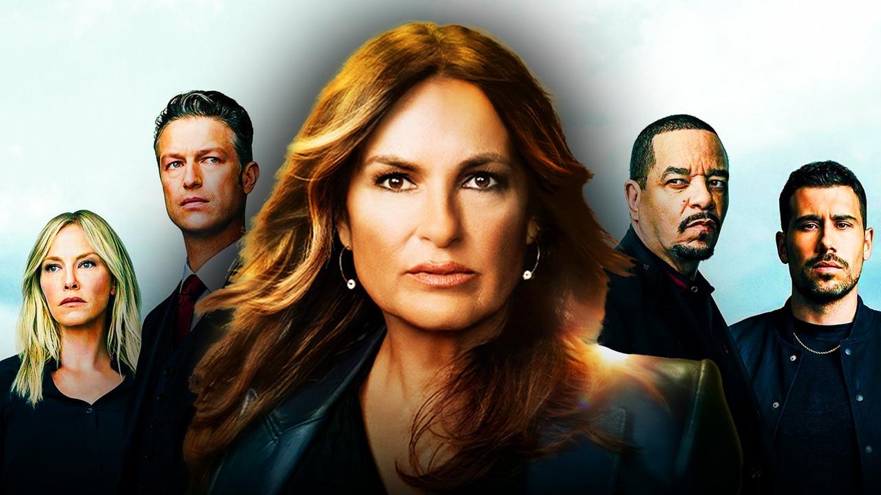 Law and Order: SVU 2024 cast & characters guide (photos)