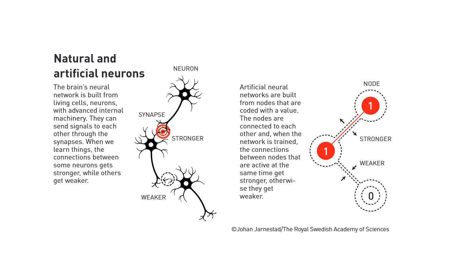 In stunning Nobel win, AI researchers Hopfield and Hinton take 2024 Physics Prize